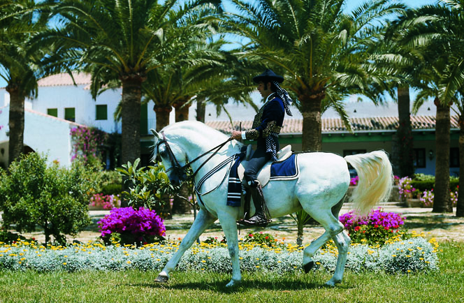 Fly Drive Paradores Rondreis Andalusie Het Zonovergoten Zuiden 6