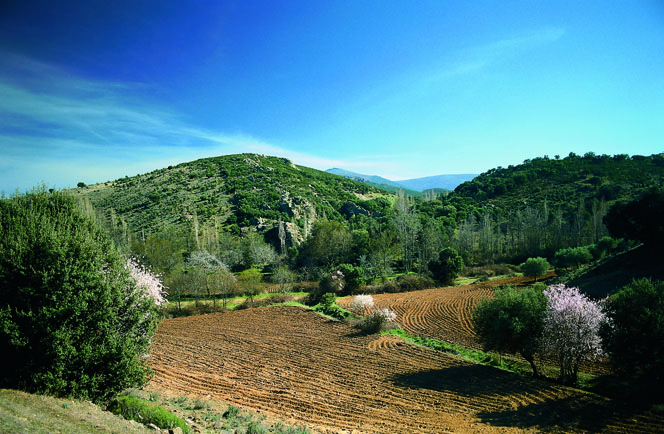 Fly Drive Paradores Rondreis Van Madrid naar Valencia 2