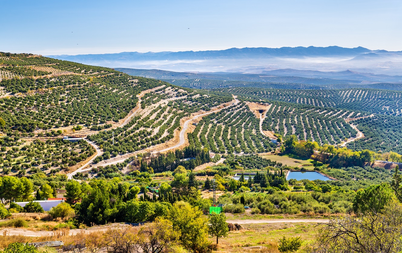 Fly Drive Paradores Rondreis Bijzonder Andalusie